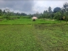 Divisional Secretariat – Biyagama Saubagya Keera Production Village